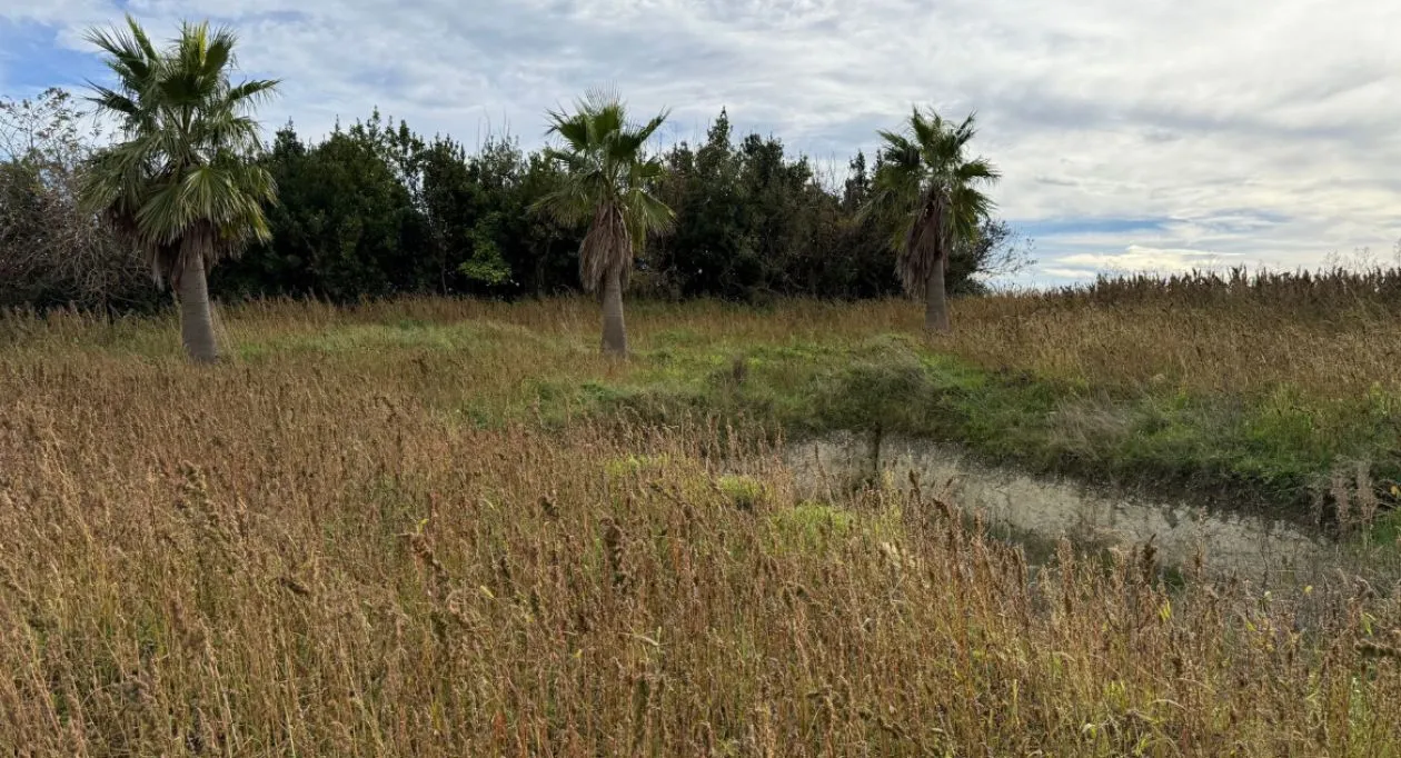 Image 1 Terrain à bâtir de 1700 m² à SEMUSSAC (17)