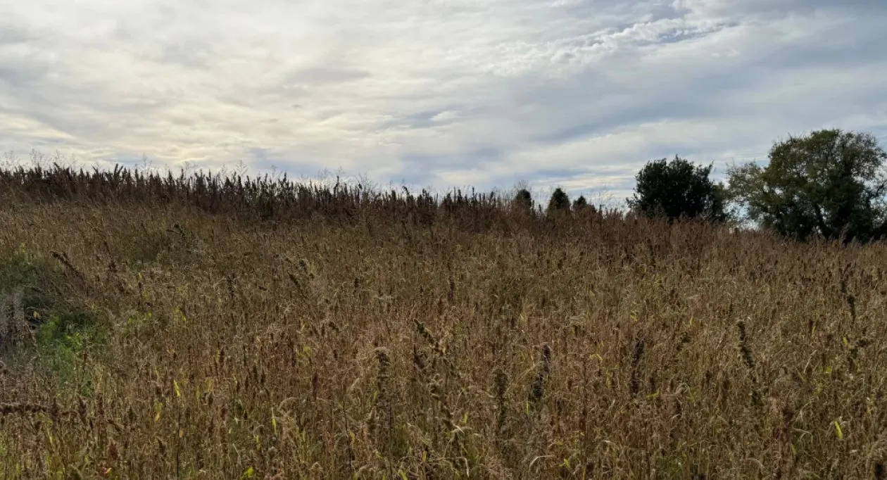 Image 2 Terrain à bâtir de 1700 m² à SEMUSSAC (17)