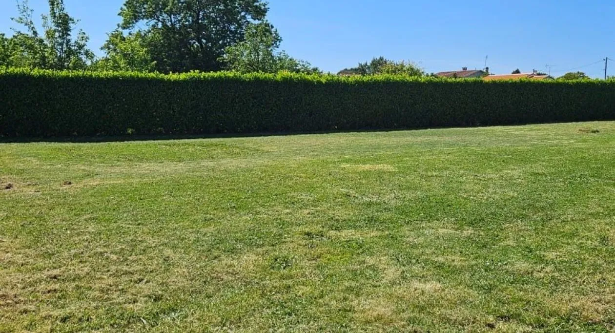 Image 7 Projet de construction d'une maison 80 m² avec terrain à NANCRAS (17)