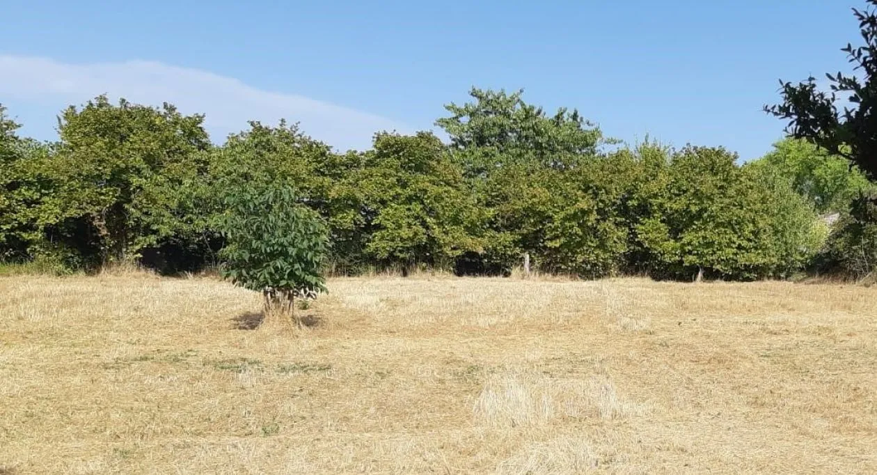 Image 6 Projet de construction d'une maison 70 m² avec terrain à MATHA (17)