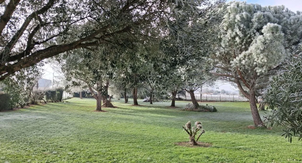 Image 1 Terrain à bâtir de 2703 m² à REPARSAC (16)