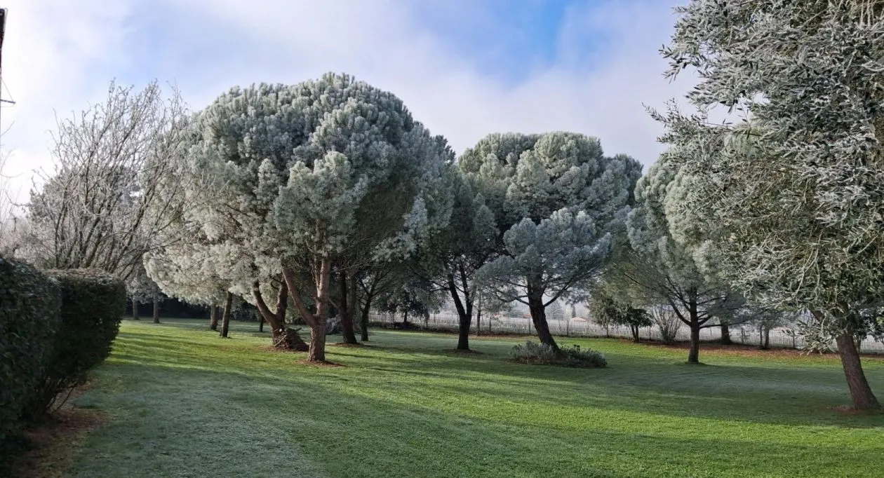 Image 2 Terrain à bâtir de 2703 m² à REPARSAC (16)