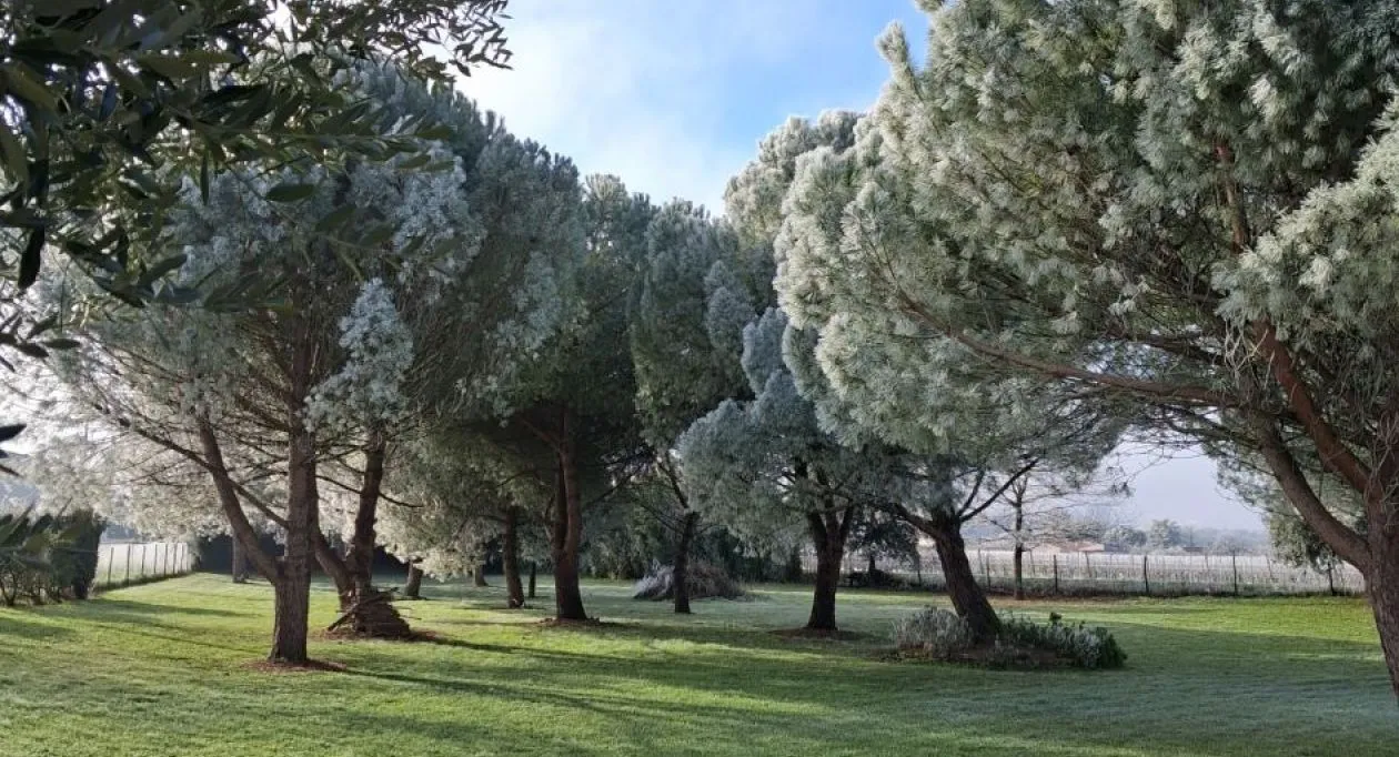 Image 3 Terrain à bâtir de 2703 m² à REPARSAC (16)