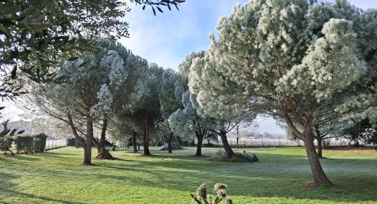 Image 4 Terrain à bâtir de 2703 m² à REPARSAC (16)