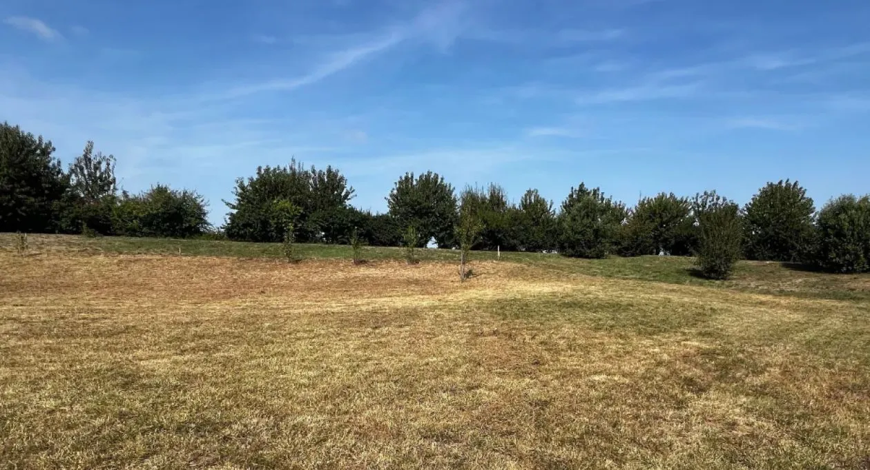 Image 7 Projet de construction d'une maison 90 m² avec terrain à BREUILLET (17)