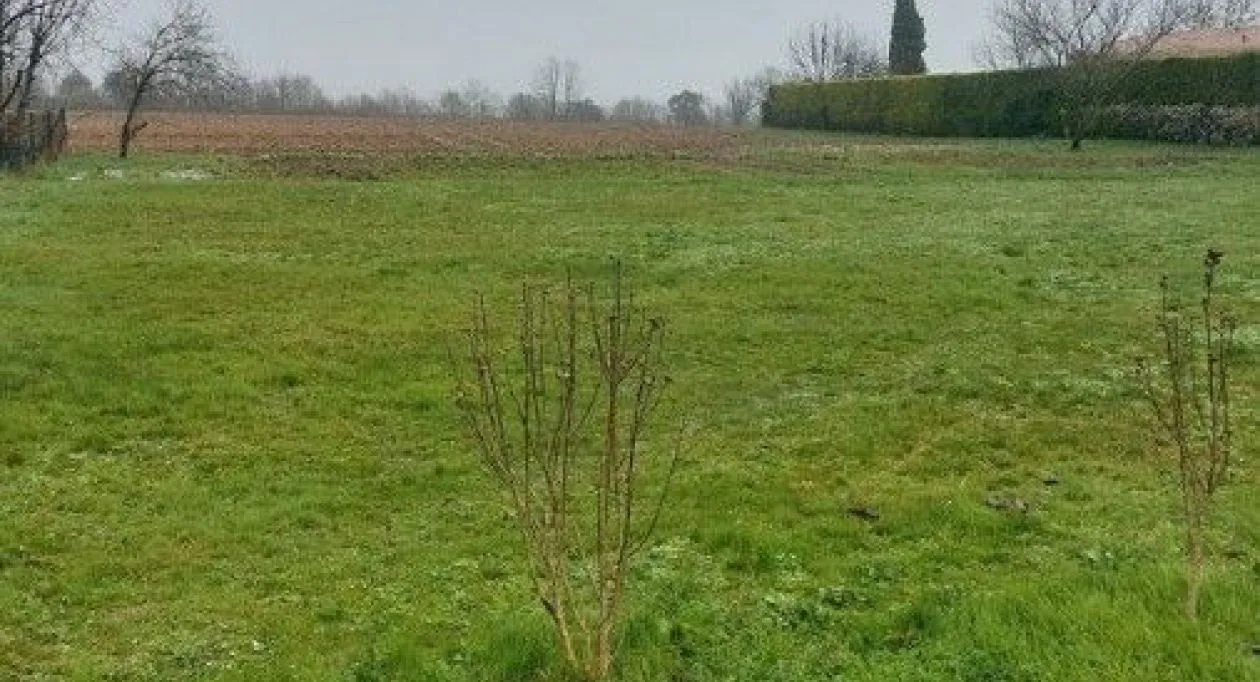 Image 2 Projet de construction d'une maison 160 m² avec terrain à SAINT-GEORGES-DES-COTEAUX (17)