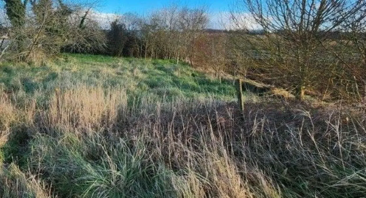 Image 6 Projet de construction d'une maison 60 m² avec terrain à GRANDJEAN (17)