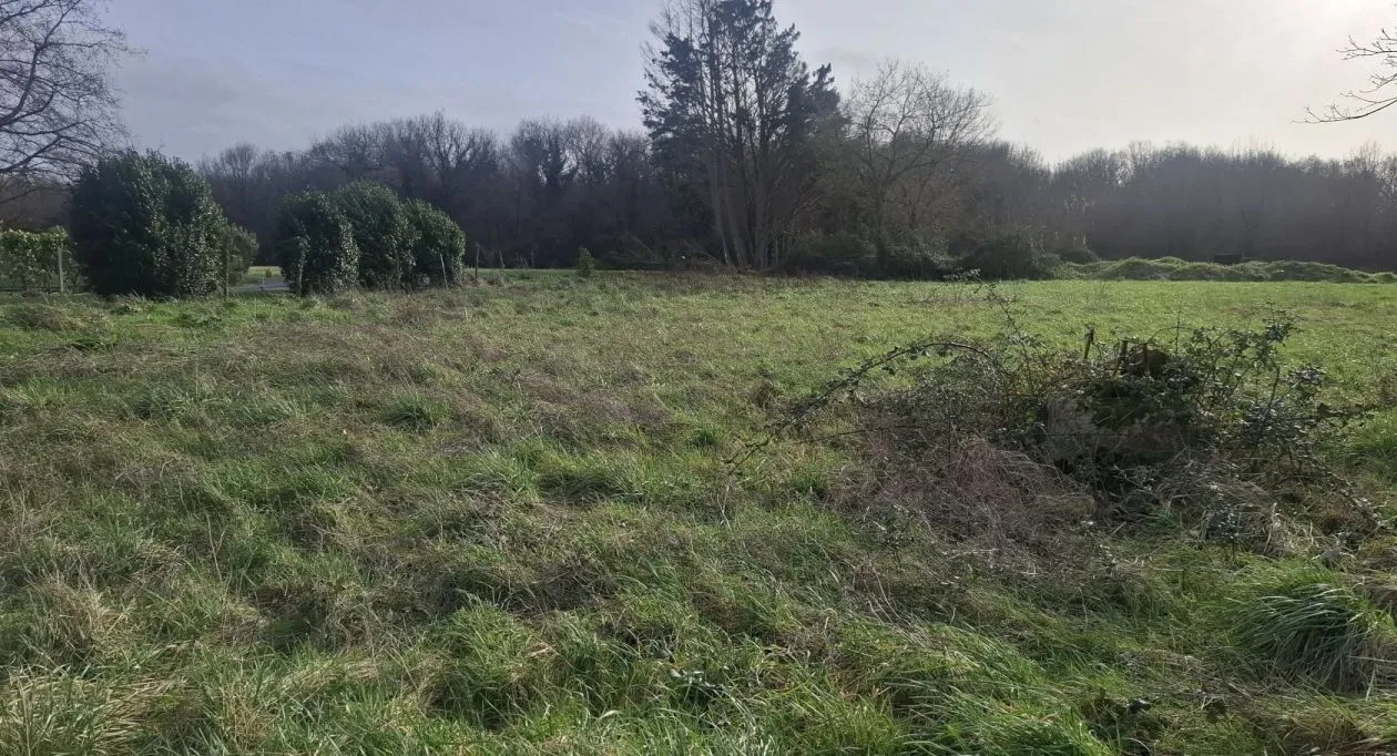 Image 3 Projet de construction d'une maison 94 m² avec terrain à MEDIS (17)