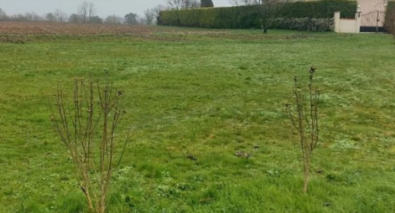 Image 2 Projet de construction d'une maison 0 m² avec terrain à SAINT-GEORGES-DES-COTEAUX (17)
