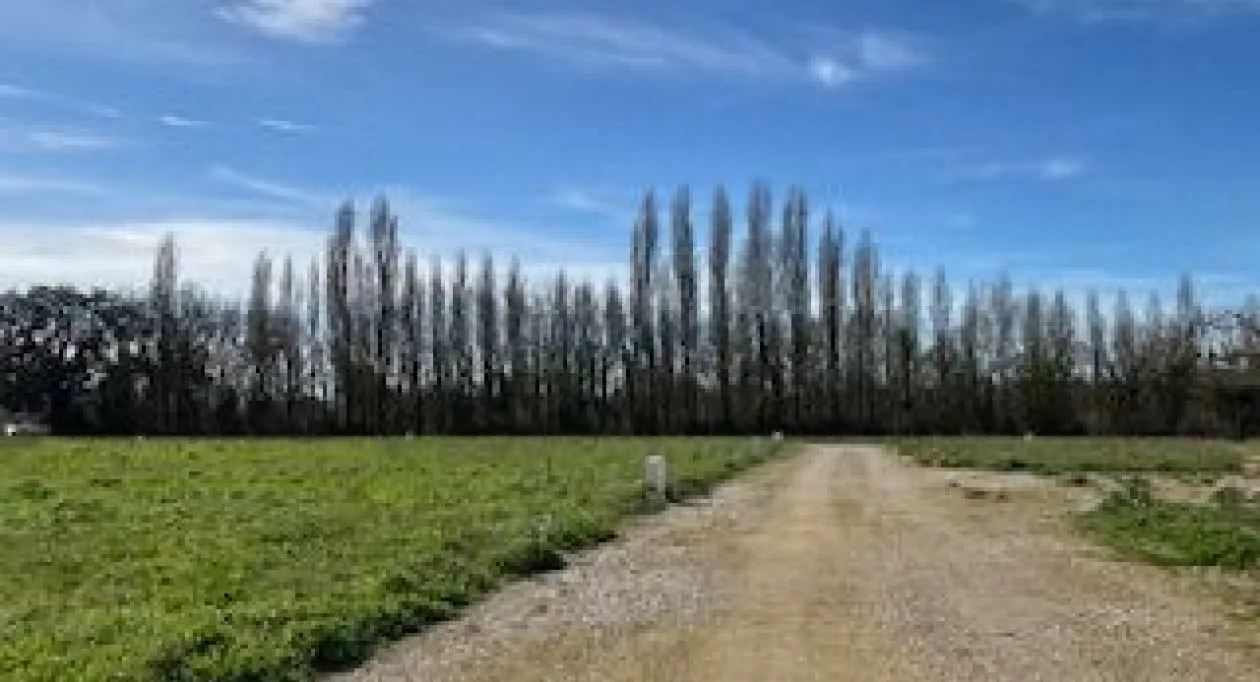 Image 1 Terrain à bâtir de 834 m² à MONTPELLIER-DE-MEDILLAN (17)