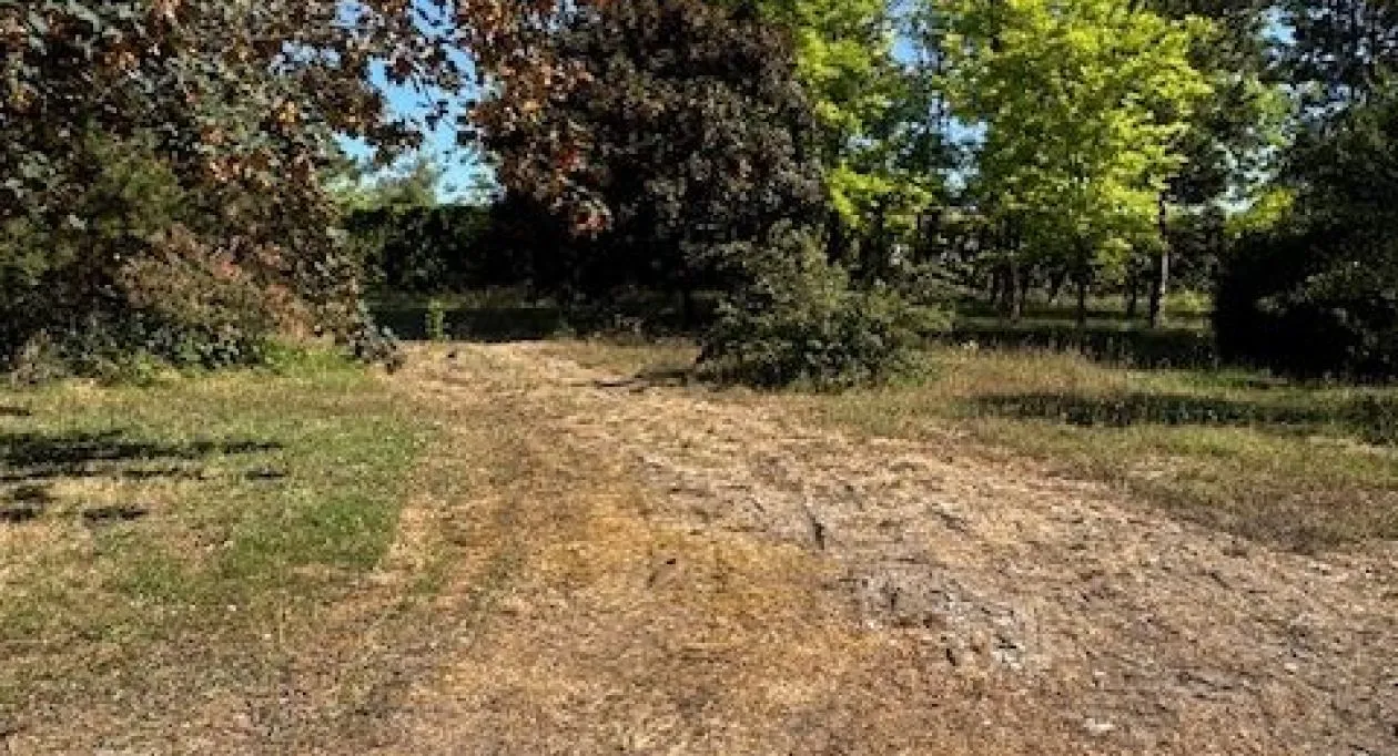 Image 3 Projet de construction d'une maison 240 m² avec terrain à SAINTES (17)