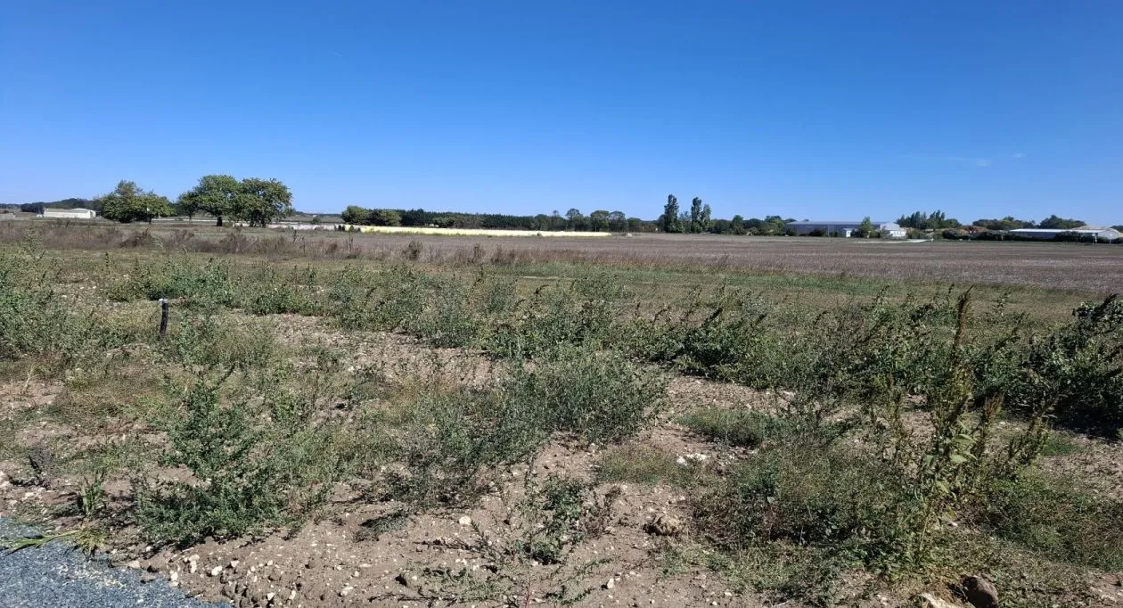 Image 4 Projet de construction d'une maison 71 m² avec terrain à NIEULLE-SUR-SEUDRE (17)