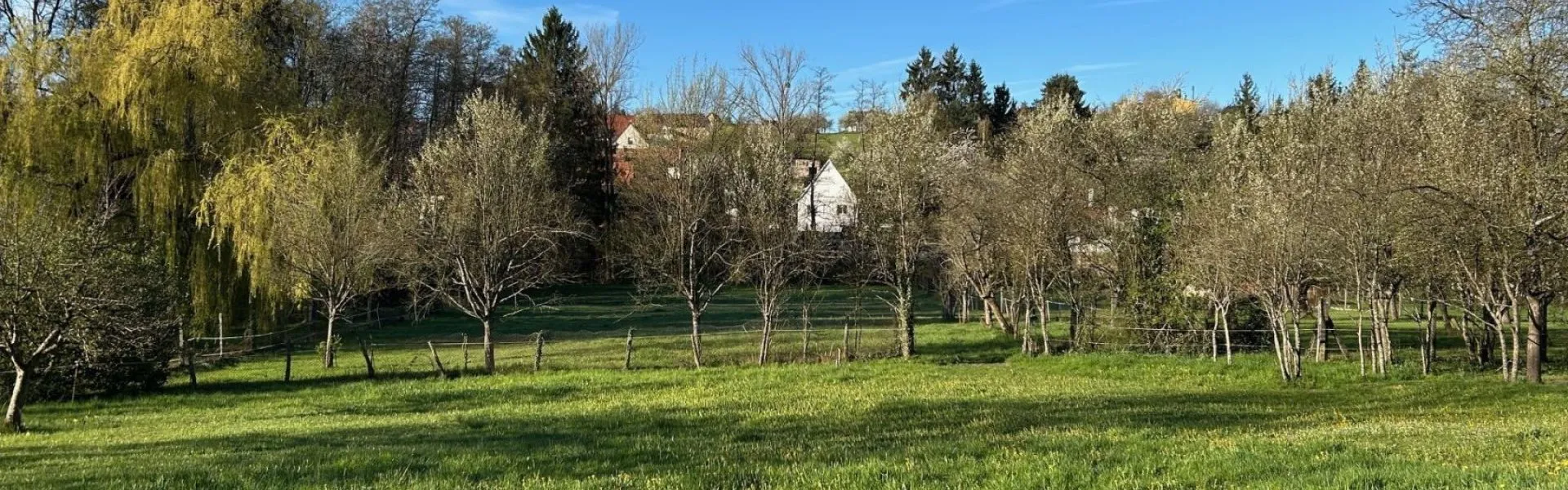 Terrain à bâtir de 800 m² à ZINSWILLER (67)