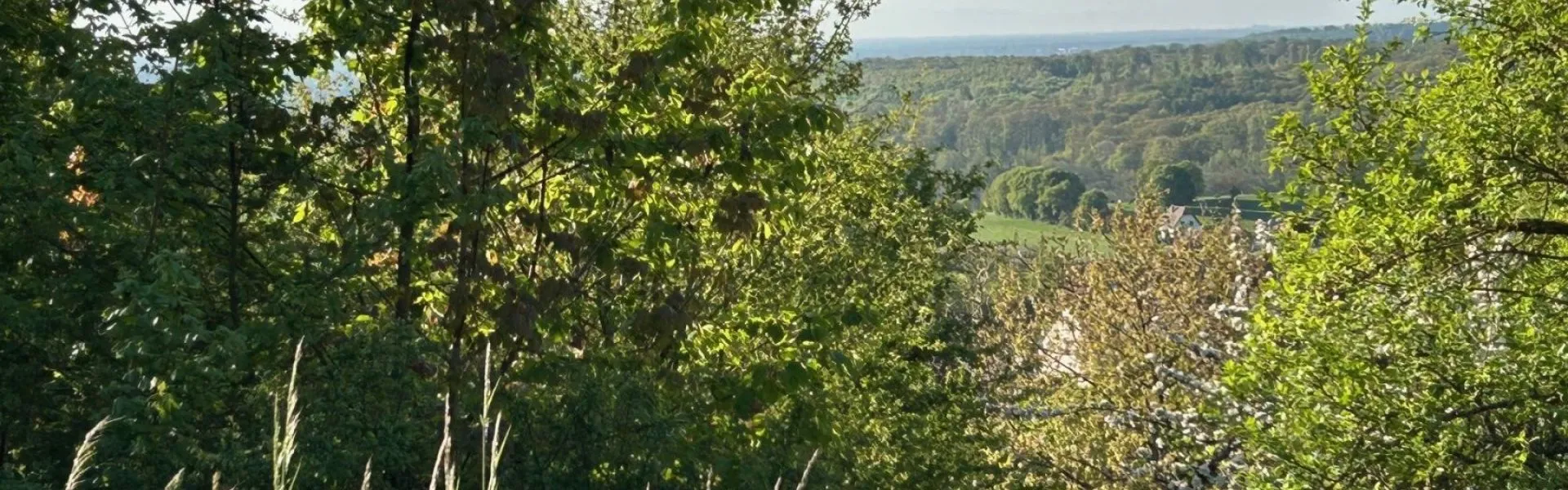 Terrain à bâtir de 1104 m² à OBERBRONN (67)