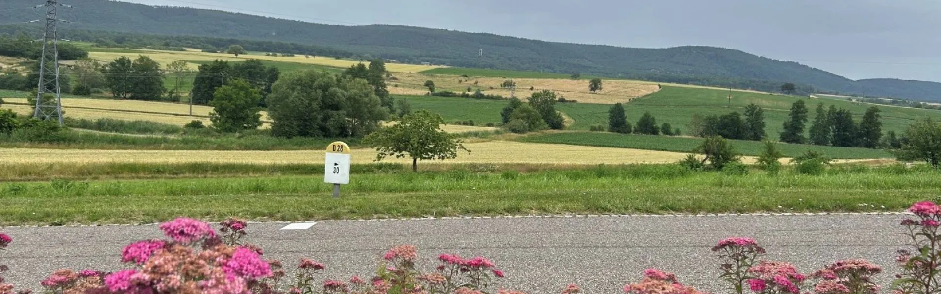 Terrain à bâtir de 502 m² à PREUSCHDORF (67)