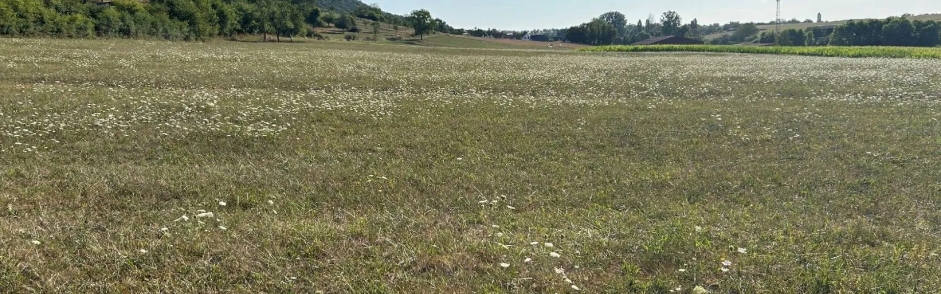 Terrain à bâtir de 100 m² à ROTHBACH (67)