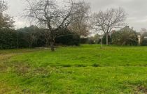 image Maison 128 m² avec terrain à LARMOR-BADEN (56)