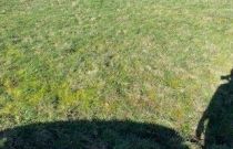 image Terrain à bâtir de 340 m² à VANNES (56)