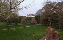 image Terrain à bâtir de 490 m² à MUZILLAC (56)