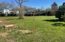 image Maison 74 m² avec terrain à LOCQUELTAS (56)