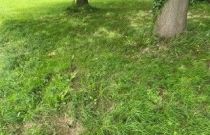 image Terrain à bâtir de 475 m² à MUZILLAC (56)