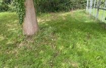 image Terrain à bâtir de 475 m² à MUZILLAC (56)