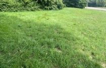 image Terrain à bâtir de 475 m² à MUZILLAC (56)