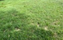 image Terrain à bâtir de 475 m² à MUZILLAC (56)