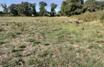 image Maison 80.88 m² avec terrain à RIANTEC (56)
