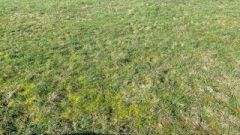 image Terrain à bâtir de 427 m² à LOCQUELTAS (56)