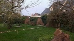 image Terrain à bâtir de 490 m² à MUZILLAC (56)
