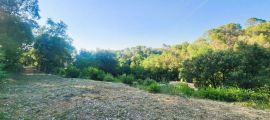image Terrain à bâtir de 3480 m² à BRIGNOLES (83)