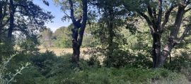image Projet de construction d'une maison 120 m² avec terrain à CABRIES (13)