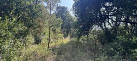 image Projet de construction d'une maison 120 m² avec terrain à CABRIES (13)