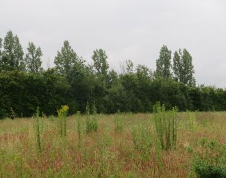 Photo du terrain à bâtir de 807 m² <br><span>VILLEFAGNAN (16)