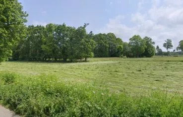 Photo du terrain n°22 de 345 m² à LA CHAPELLE-AUX-FILTZMEENS