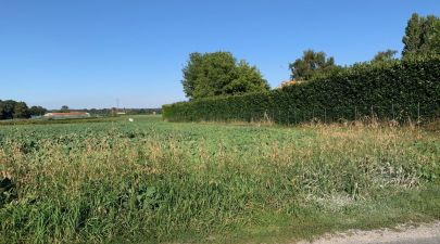 Photo du terrain n°70 de 500 m² à CORME-ROYAL