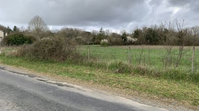 Photo du terrain n°56 de 1 900 m² à SAINT-VAIZE