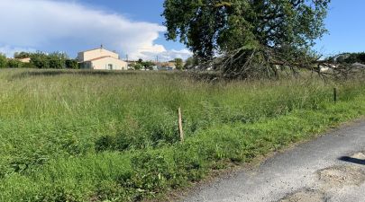 Photo du terrain n°50 de 325 m² à MEDIS
