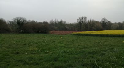 Photo du terrain n°27 de 402 m² à SAINT-GUYOMARD