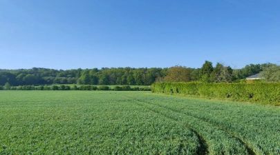 Photo du terrain n°181 de 867 m² à SAINT-GUYOMARD