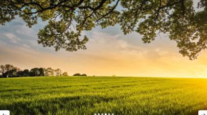 Photo du terrain n°28 de 261 m² à SERENT