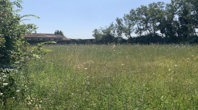 Photo du terrain n°46 de 833 m² à ECOYEUX