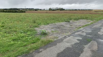Photo du terrain n°43 de 535 m² à ECOYEUX
