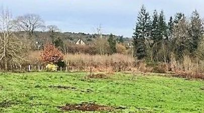 Photo du terrain n°137 de 450 m² à SAINT-GUYOMARD