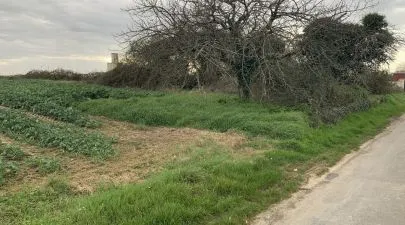 Terrain 559 m² à PLASSAY