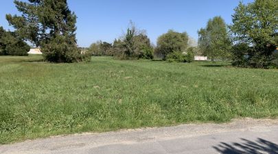 Photo du terrain n°21 de 390 m² à SAINT-AUGUSTIN