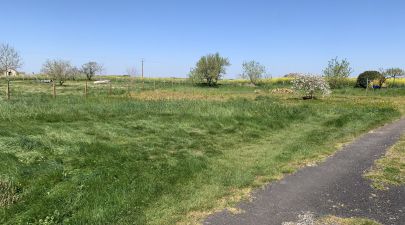 Photo du terrain n°20 de 300 m² à NIEULLE-SUR-SEUDRE