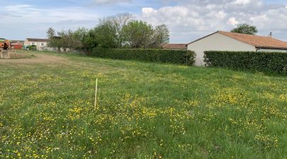 Photo du terrain n°19 de 479 m² à MAZERAY