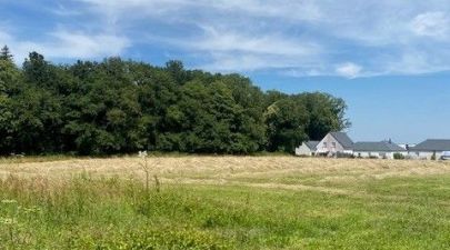 Photo du terrain n°230 de 397 m² à MONTERBLANC